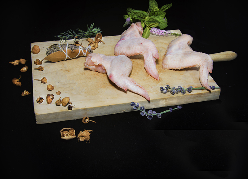 Mi Tienda WhatsApp aletes.jpg