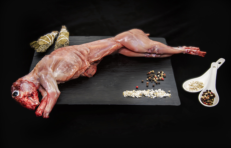 Mi Tienda WhatsApp conill.jpg